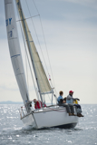 zebedee 6731Y whyw13 sun 0058